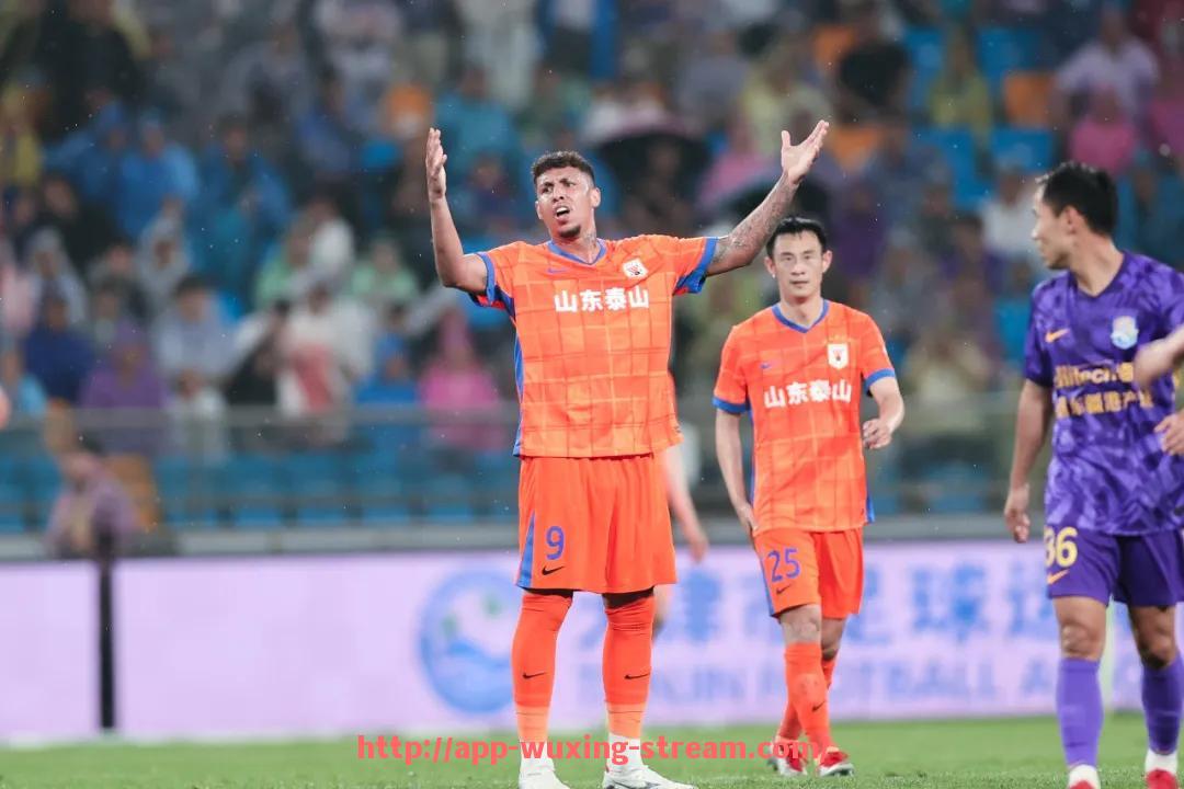 五星体育直播-德甲足球队徽的设计理念是什么,徽标如何体现球队文化?(德甲足球俱乐部队徽)