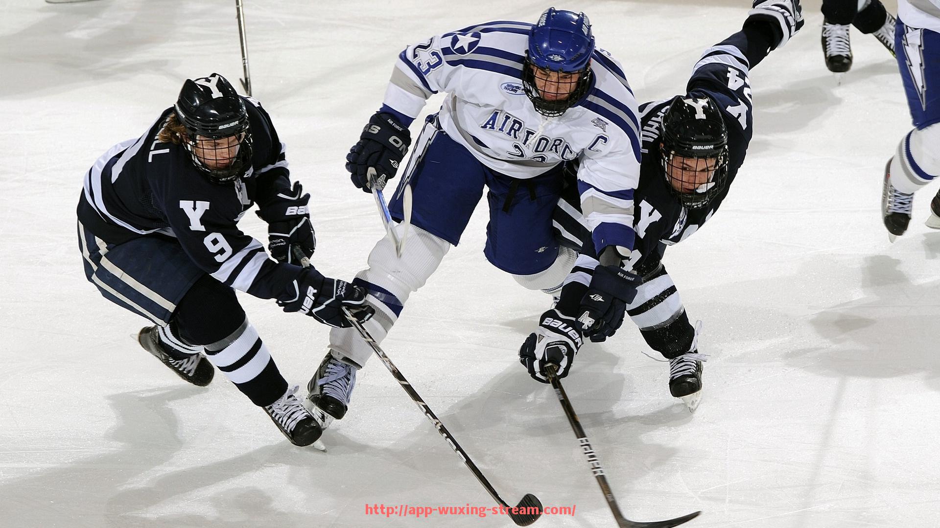 五星体育直播-目前公认的德甲最强球队是哪支,它们凭借哪些优势领先(德甲比较著名的球队搜狐)